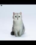 JXK JXK382 British Shorthair