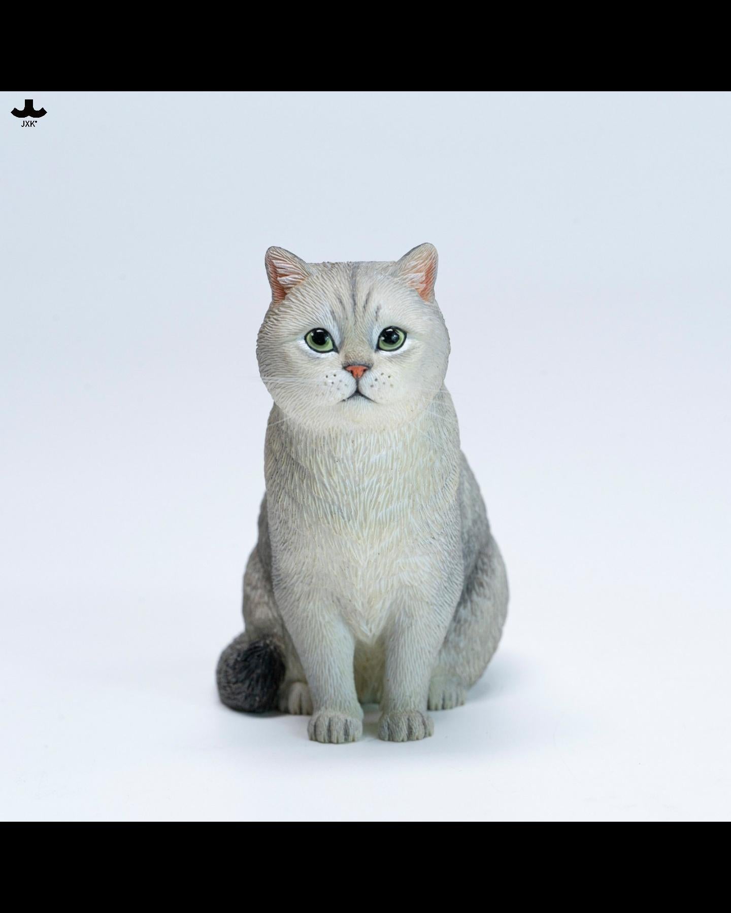 JXK JXK382 British Shorthair