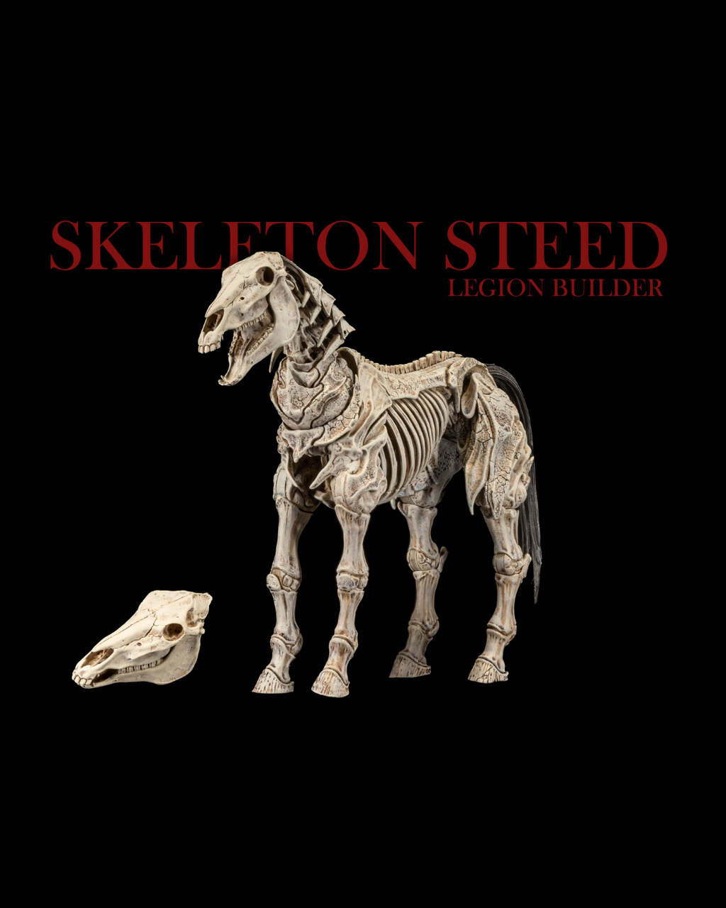 Mythic Legions  - Reinforcements 3 - Skeleton Steed Legion Builder