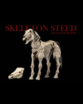 Mythic Legions  - Reinforcements 3 - Skeleton Steed Legion Builder