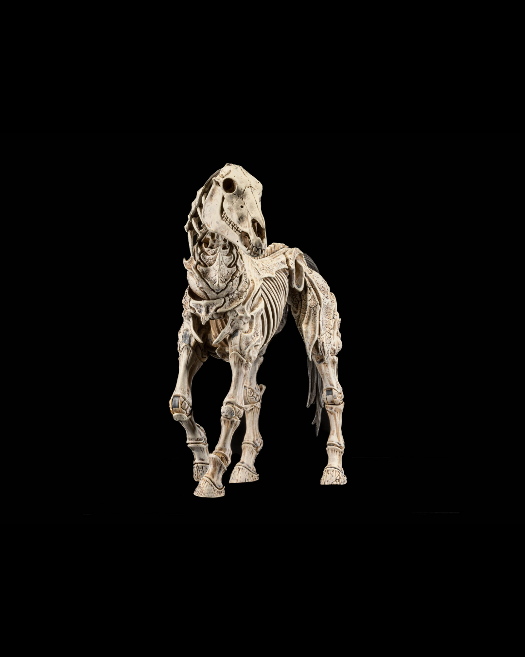 Mythic Legions  - Reinforcements 3 - Skeleton Steed Legion Builder