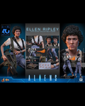 Hot Toys MMS894 1/6 Aliens (1986) Ellen Ripley (Standard Ver.)
