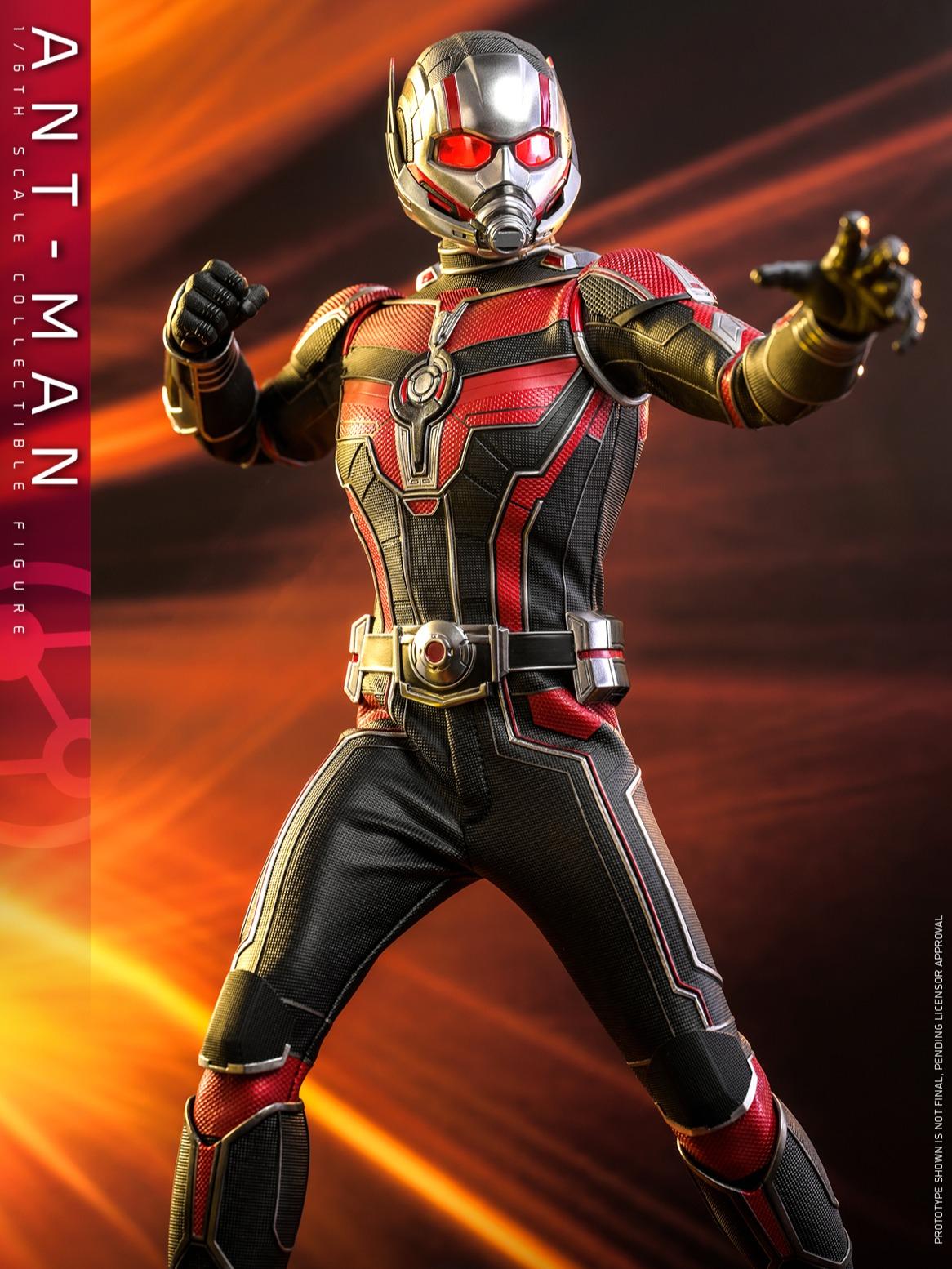 Hot Toys MMS690 1/6 Ant-Man (Quantumania)