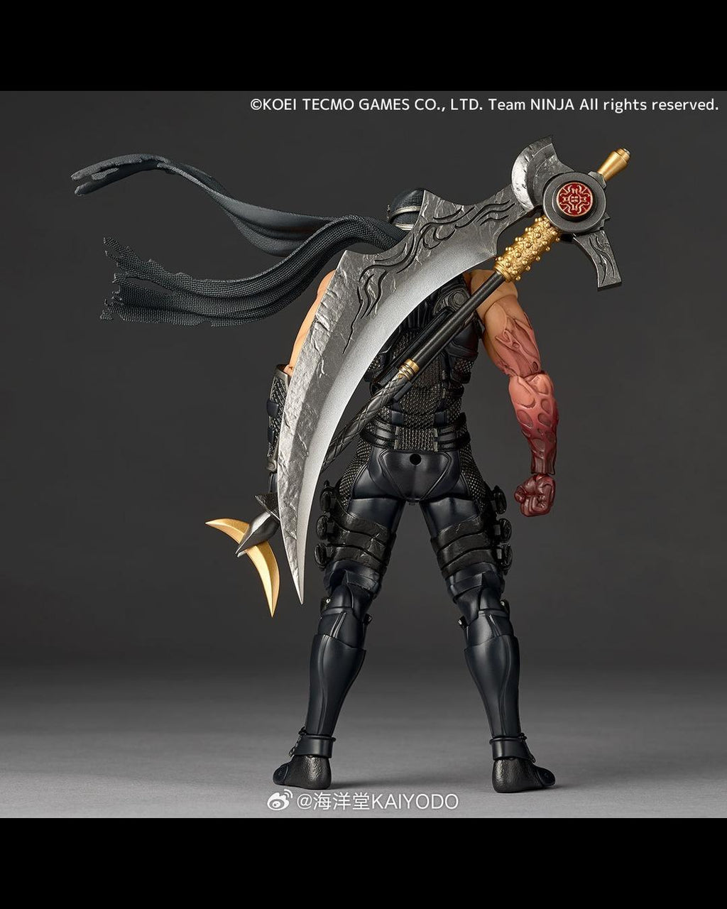 KAIYODO Revoltech Amazing Yamaguchi NINJA GAIDEN 3 Razor's Edge Ryu Hayabusa