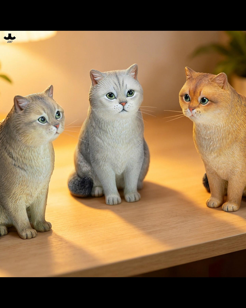 JXK JXK382 British Shorthair