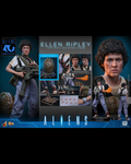 Hot Toys MMS895 1/6 Aliens (1986) Ellen Ripley (Deluxe Ver.)