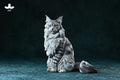 JXK JXK193 1/6 Maine Coon Cat 2.0 - JXK193C