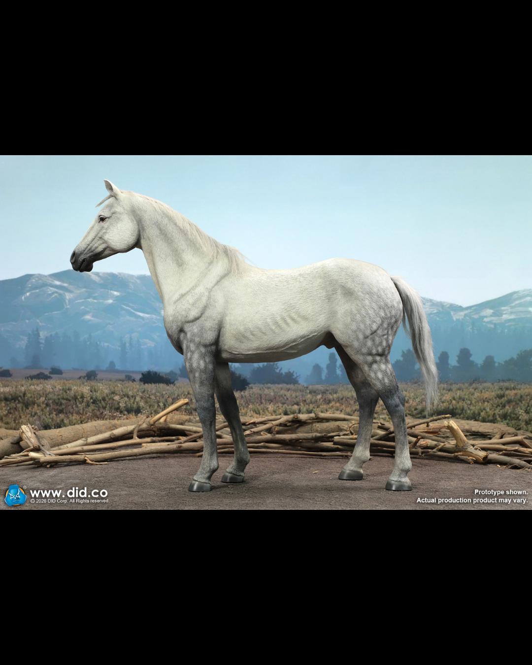 DID E60086 1/6 Civil War White War Horse (Standing)