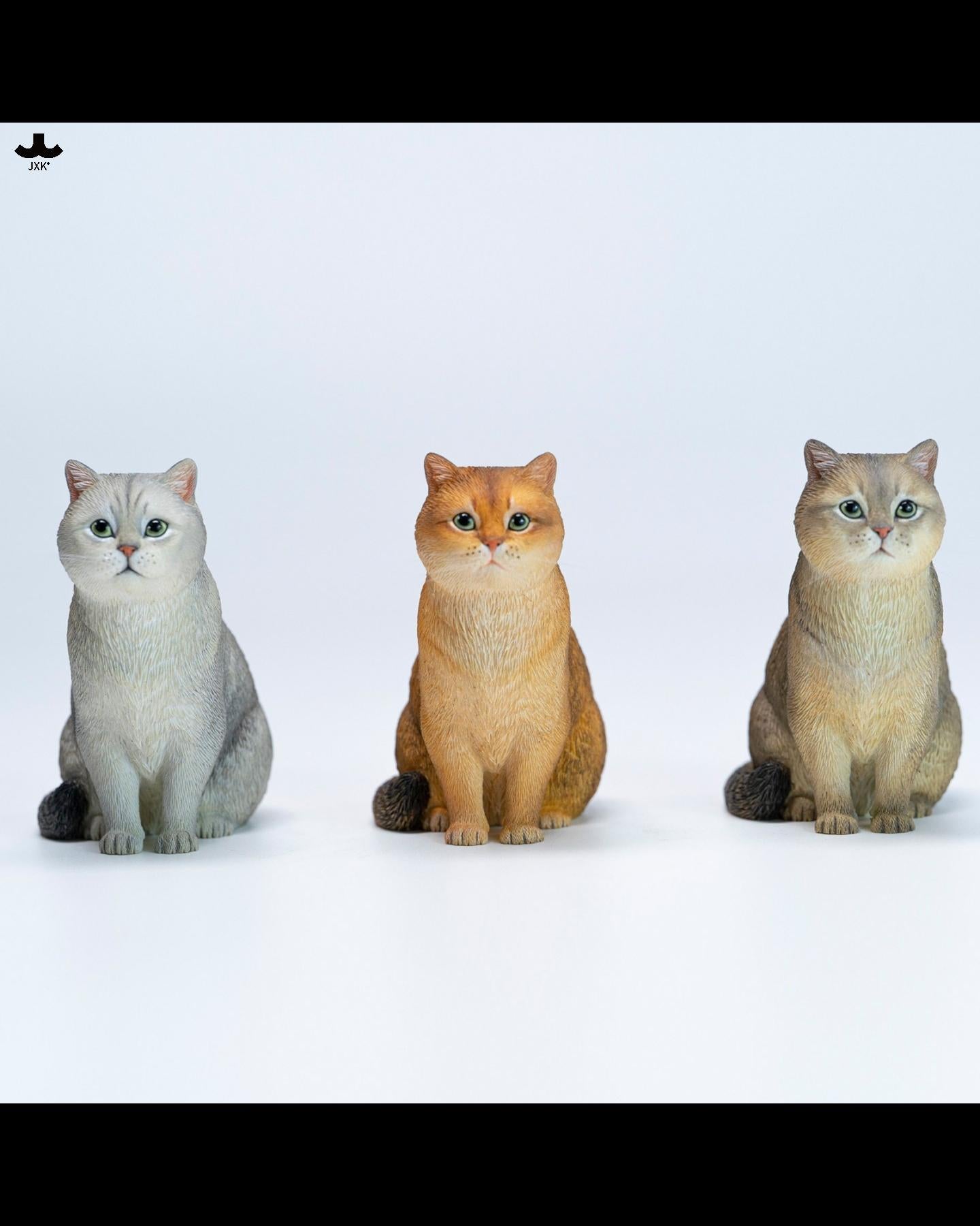 JXK JXK382 British Shorthair