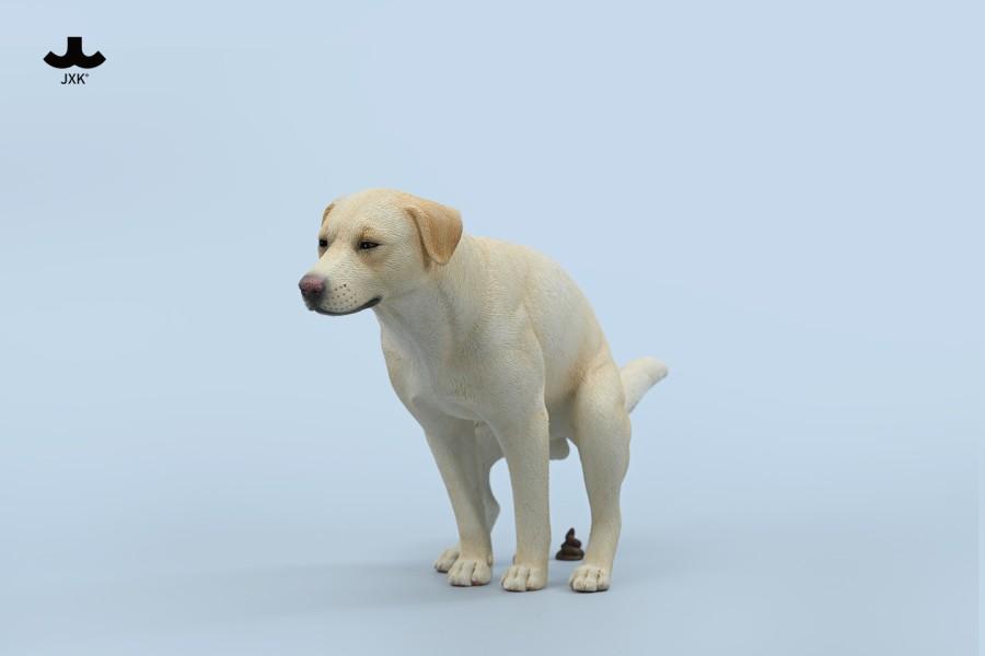 JXK JXK213 1/6 Labrador - JXK213C