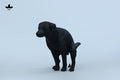 JXK JXK213 1/6 Labrador - JXK213B