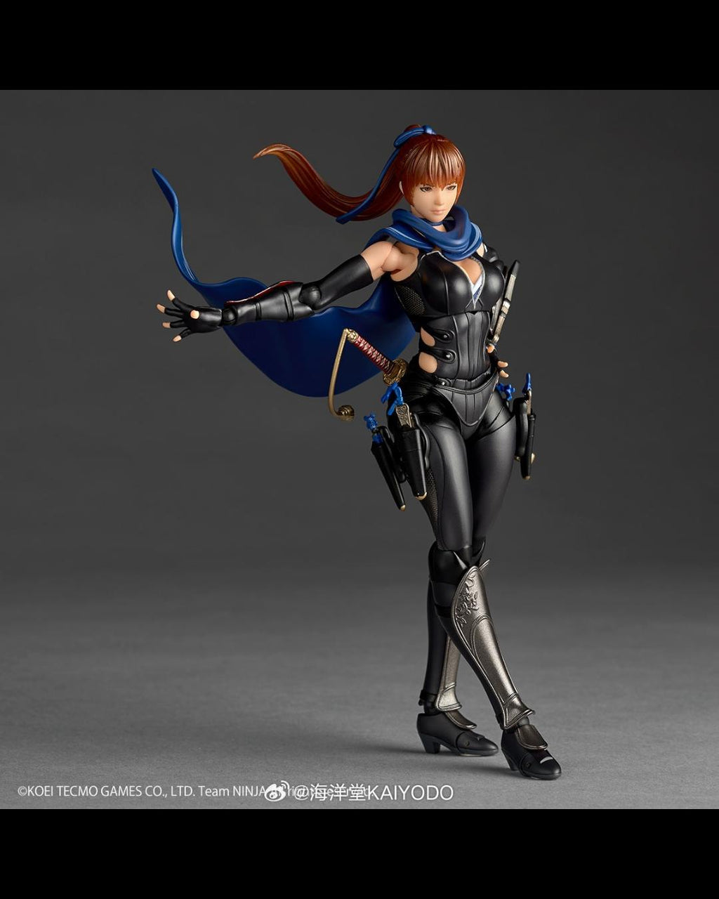 KAIYODO Revoltech Amazing Yamaguchi NINJA GAIDEN 3 Razor's Edge Kasumi