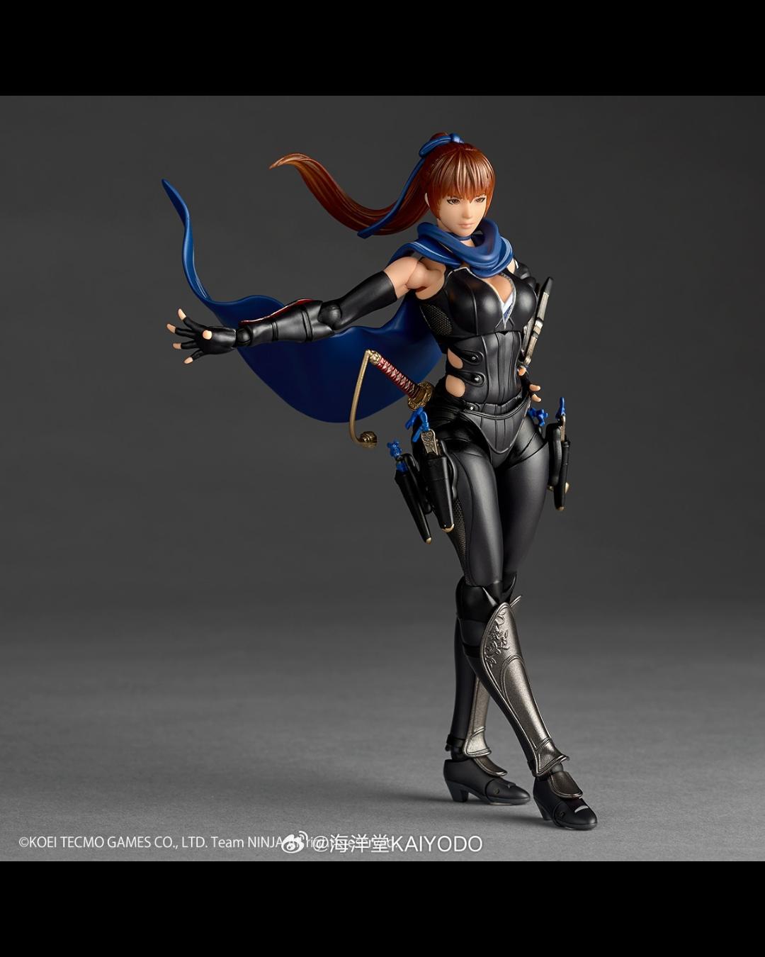 KAIYODO Revoltech Amazing Yamaguchi NINJA GAIDEN 3 Razor's Edge Kasumi