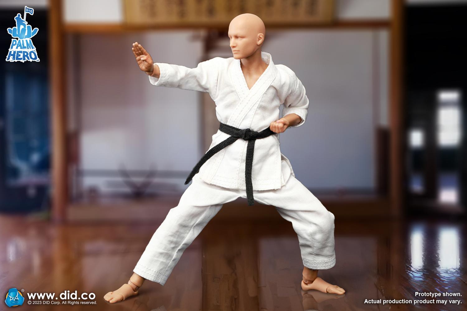DID SF80001 1/12 Simply Fun Series: The Karate Player