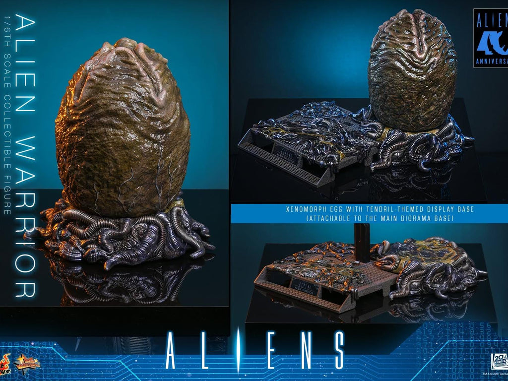 Hot Toys MMS899 1/6 Aliens (1986) Alien Warrior (Deluxe Ver.)