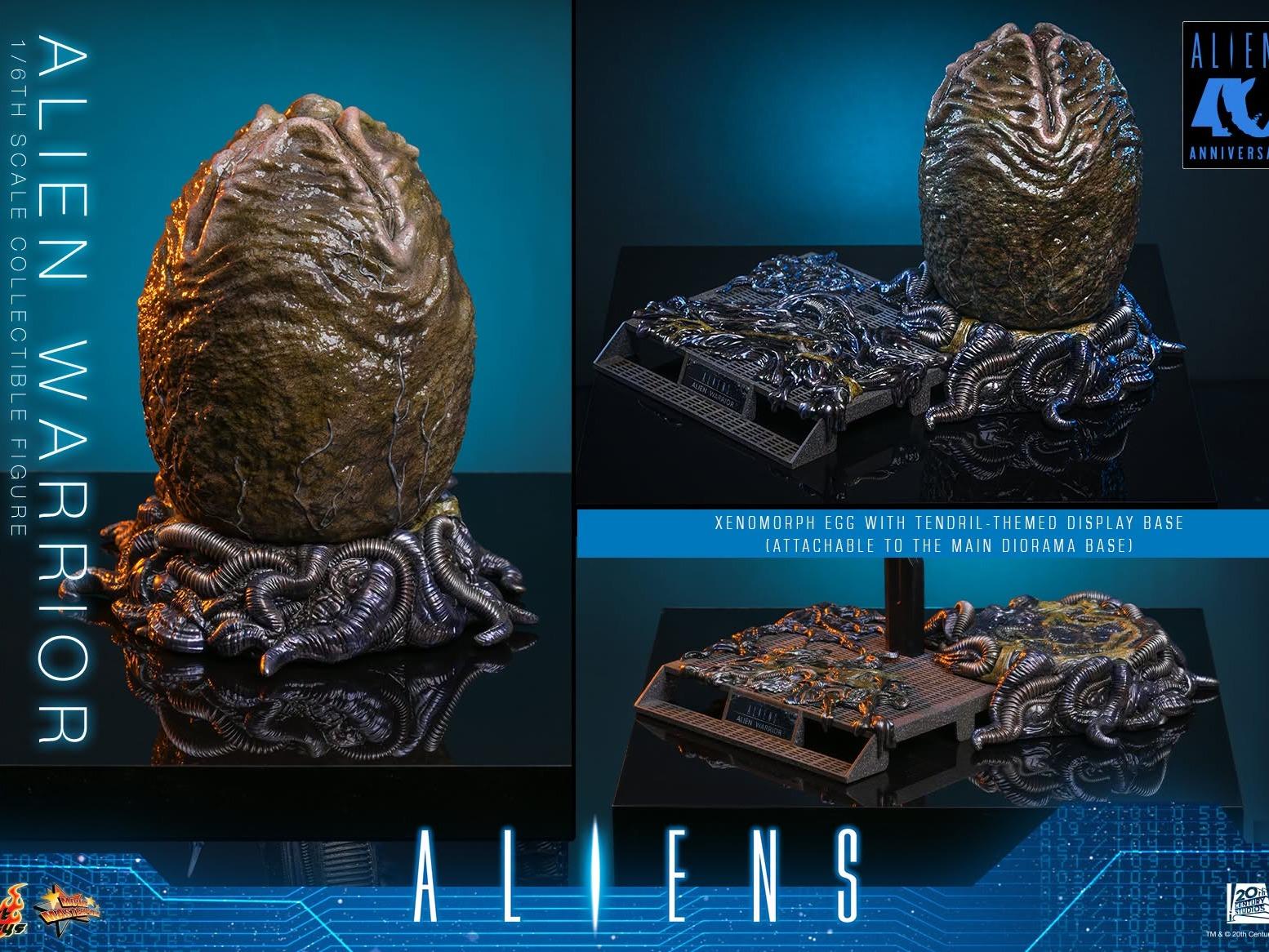 Hot Toys MMS899 1/6 Aliens (1986) Alien Warrior (Deluxe Ver.)