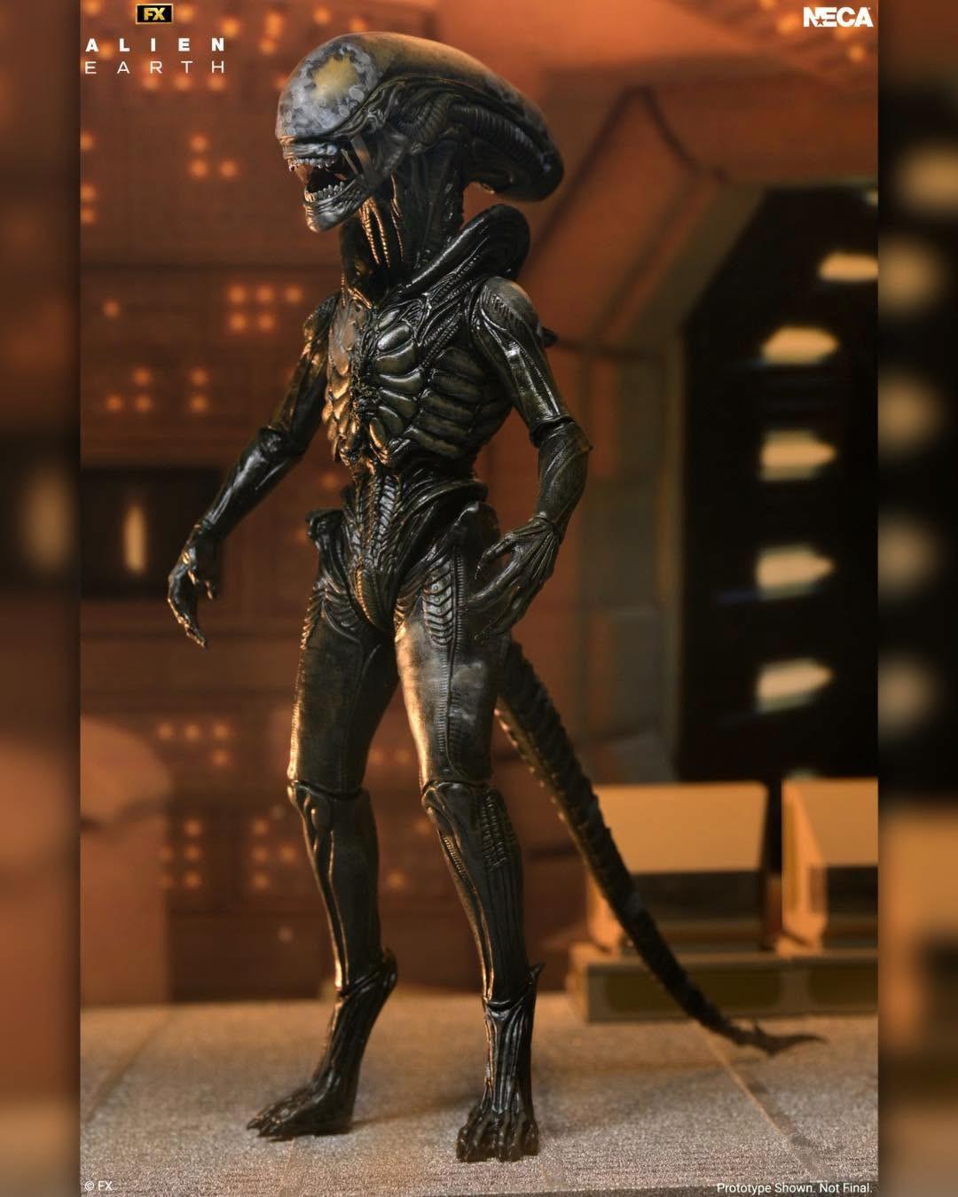 NECA 7" Scale Alien Earth - Ultimate Wendy's Xenomorph