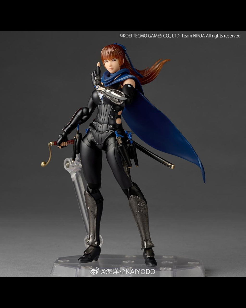 KAIYODO Revoltech Amazing Yamaguchi NINJA GAIDEN 3 Razor's Edge Kasumi