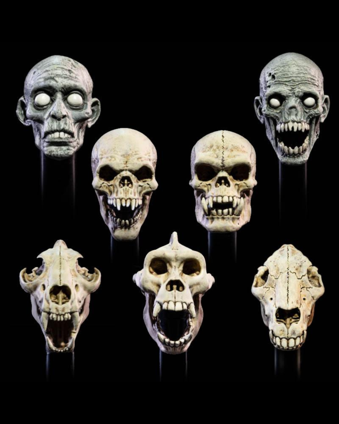 Mythic Legions - All Stars 6 - Undead Heads Pack