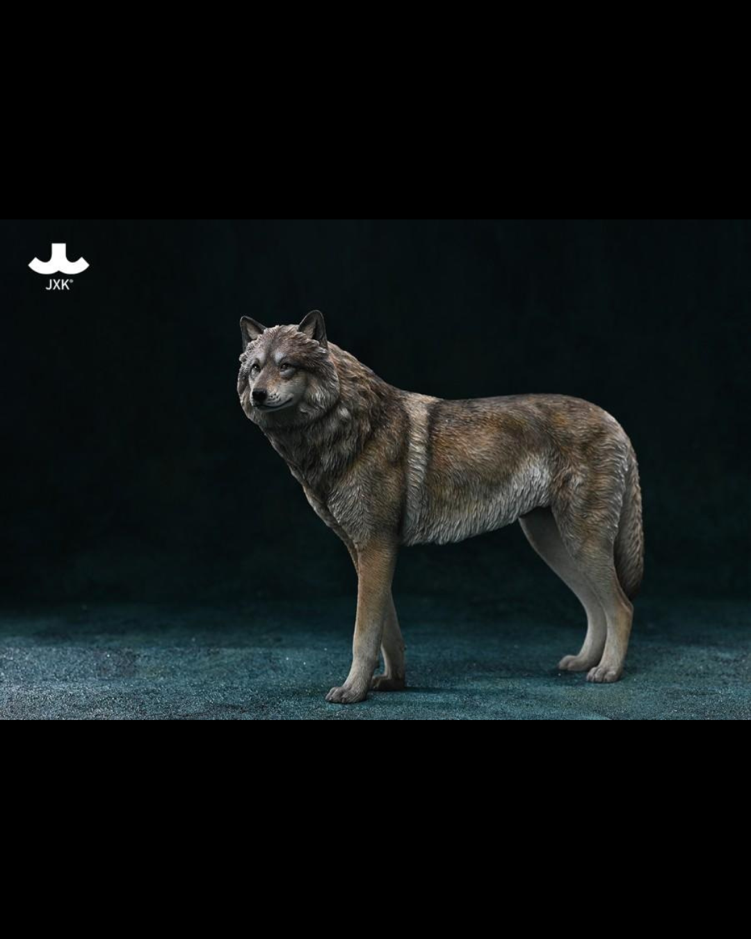 JXK JXK194 1/6 Arctic Wolf - JXK194D