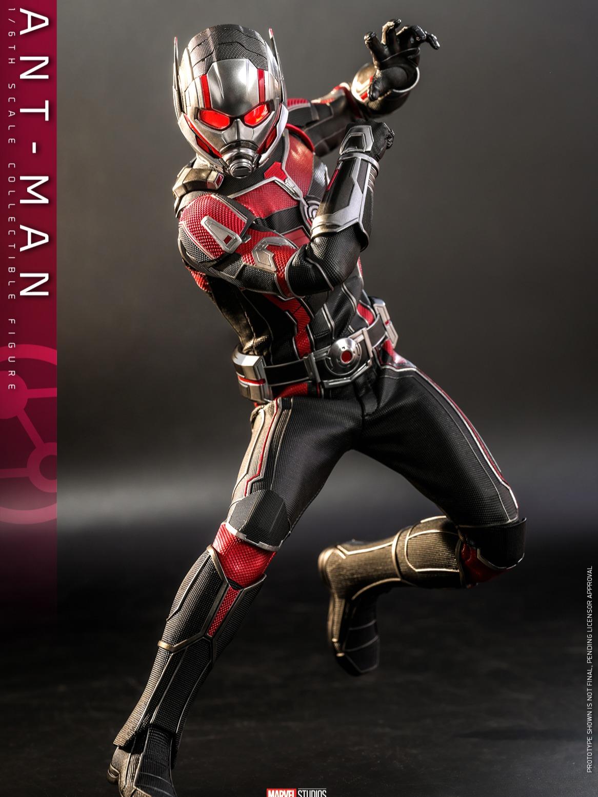 Hot Toys MMS690 1/6 Ant-Man (Quantumania)