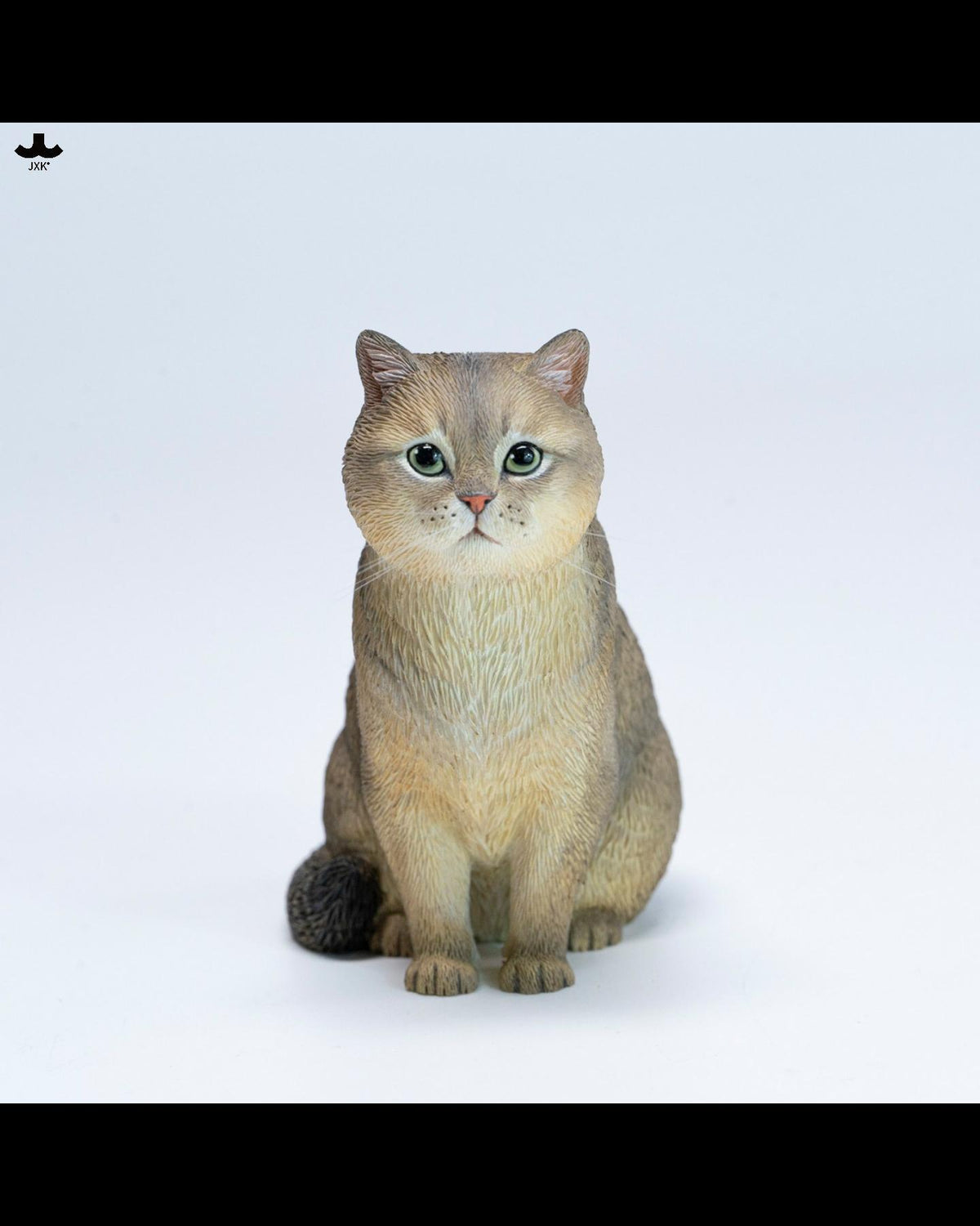 JXK JXK382 British Shorthair
