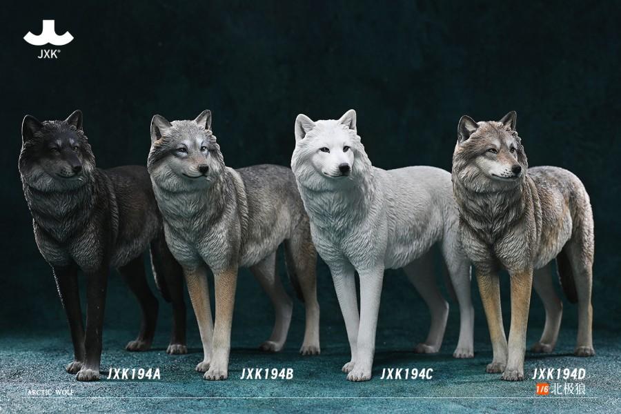 JXK JXK194 1/6 Arctic Wolf - JXK194D