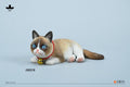 JXK JXK219 1/6 Ugly Cat 2.0