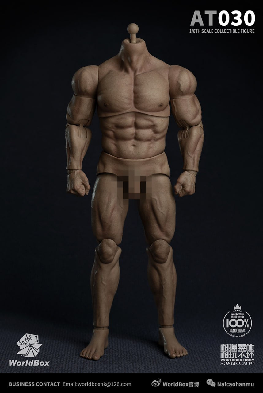 WorldBox AT030 1/6 Male Durable Body