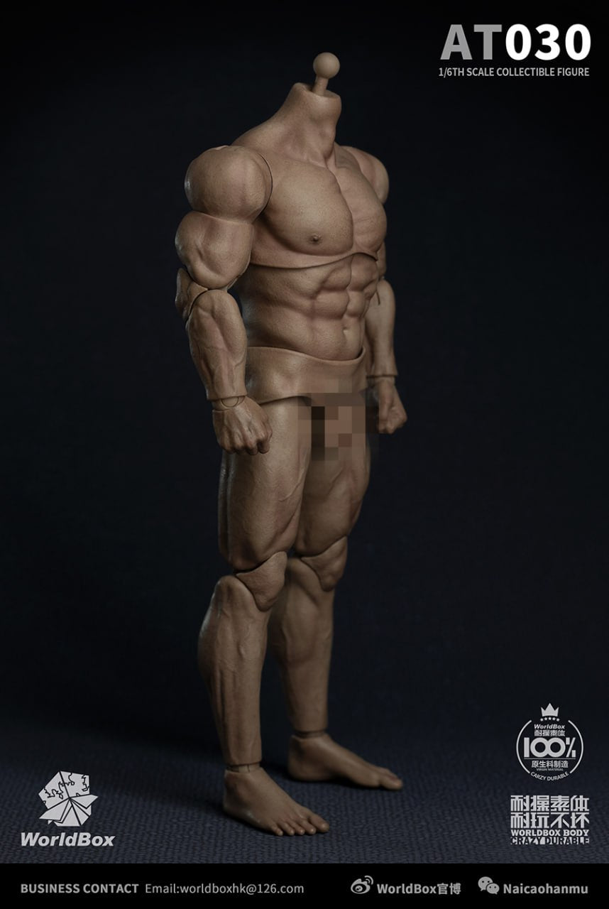 WorldBox AT030 1/6 Male Durable Body