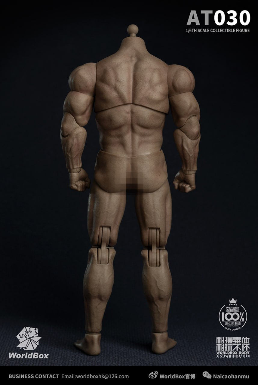 WorldBox AT030 1/6 Male Durable Body